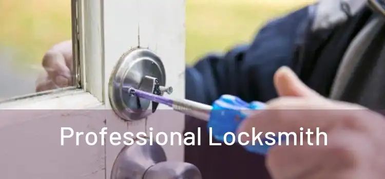  Professional Locksmith 